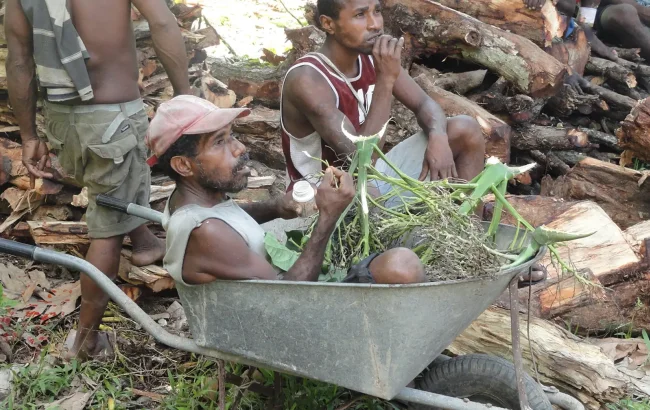 Ethnos360 Blog from drug addict to elder